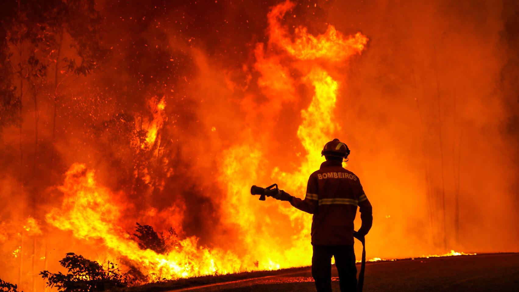 Portugal wildfires